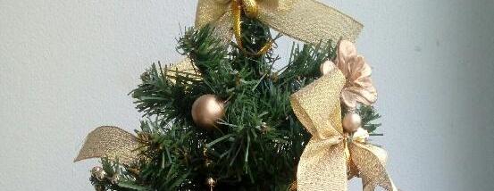 Třídnický den 23.12.2022