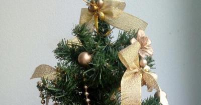Třídnický den 23.12.2022