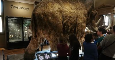 Národní muzeum pokaždé jinak