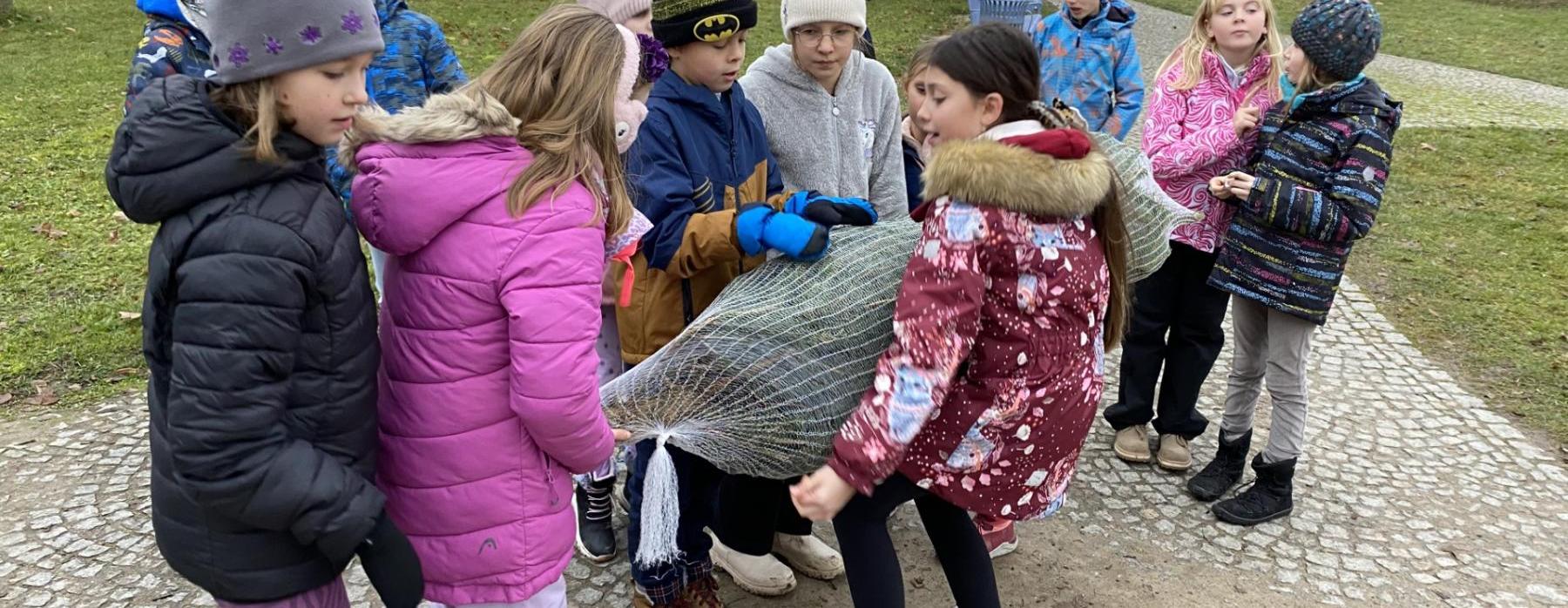 Advent - nejkrásnější období v roce (4.C)