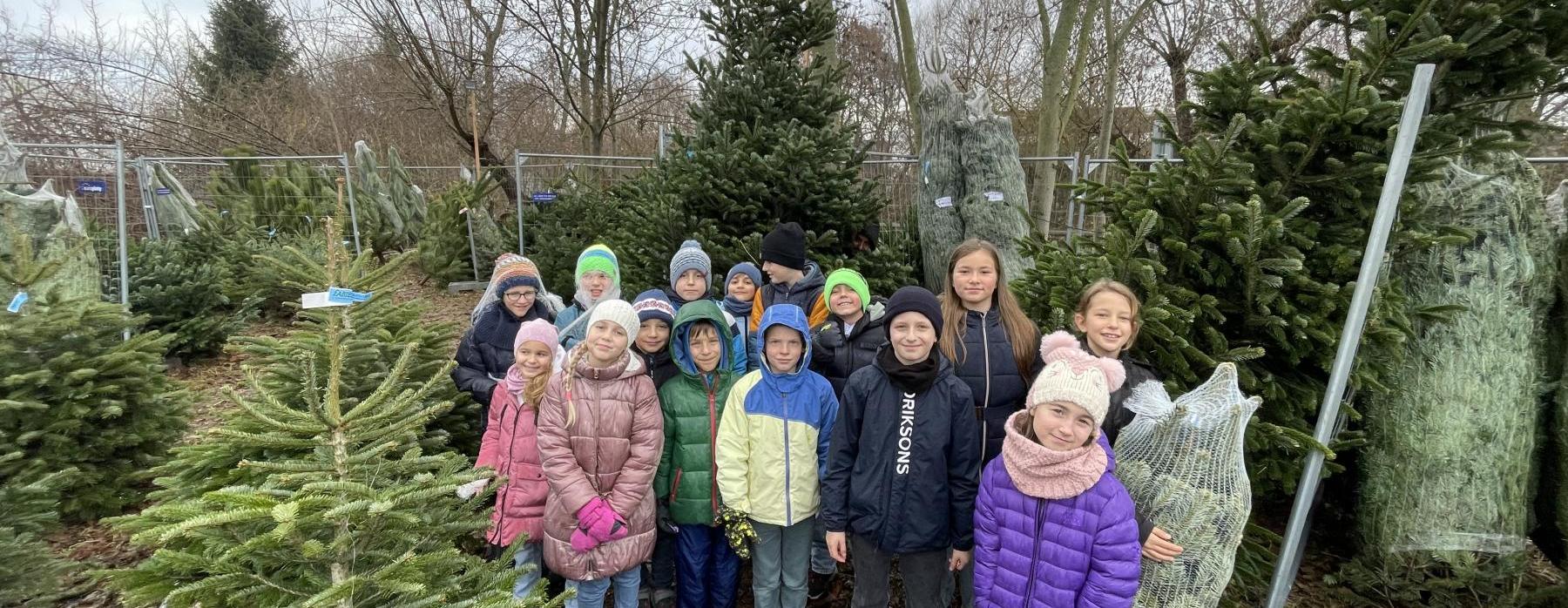 Čas adventních radostí (3. C)