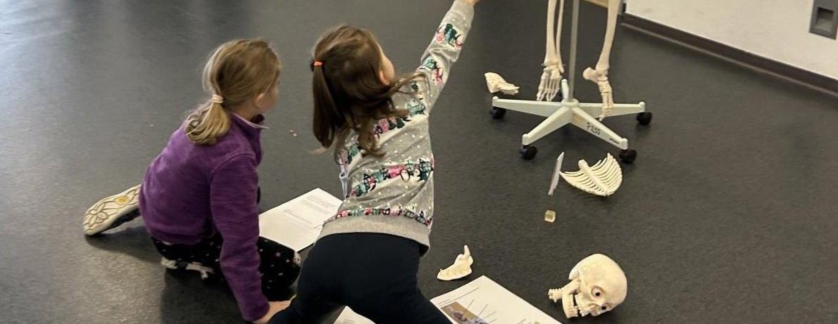 Poznáváme lidské tělo – projektové učení ve 2. A