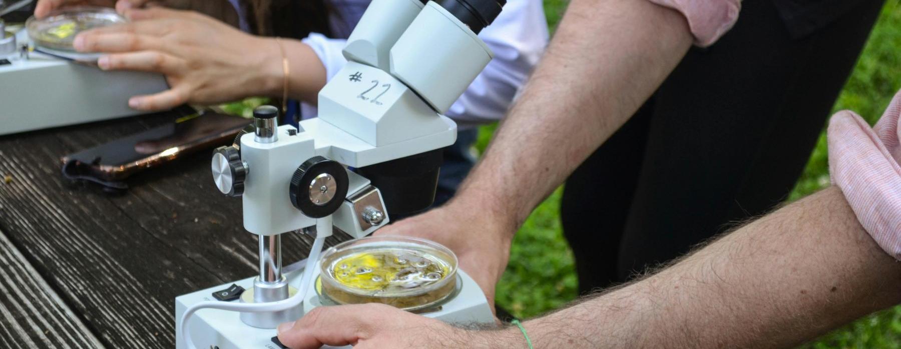 Vítěz Biologické olympiády a sběr zkušeností do dalších let