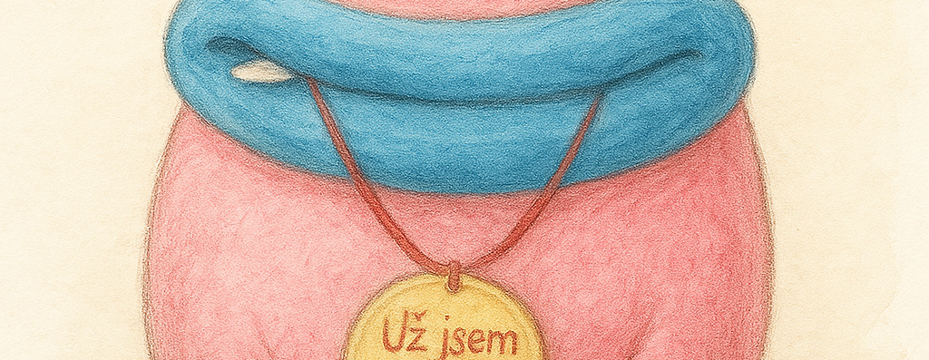 Pasování na čtenáře
