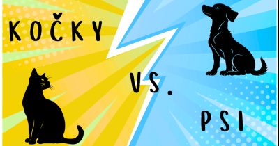 Nový školní rok v naší knihovně
