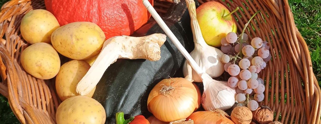 Je zahradníkova radost větší nebo menší než dětská radost? (1.A)