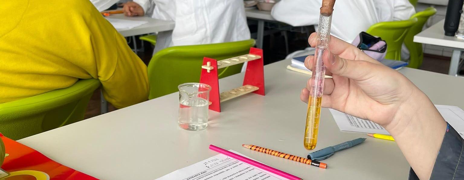 Chemie v 8.B